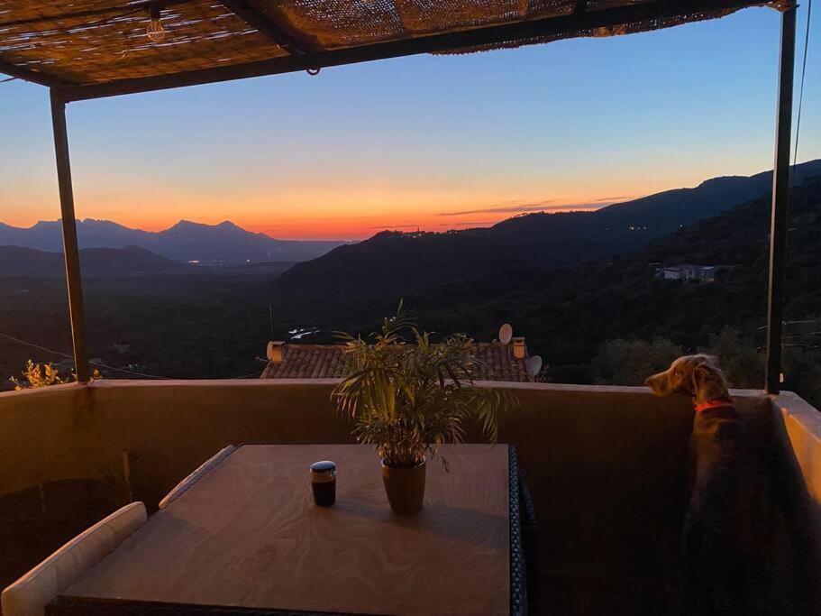 Maison De Caractere, Zilia, Au Pied Du Montegrossu Dış mekan fotoğraf